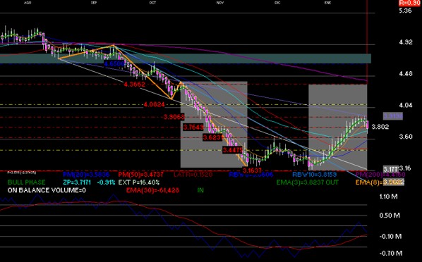 gr�fica t�cnica de bachoco