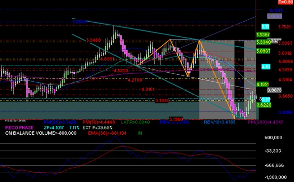 gr�fica t�cnica semanal de bachoco