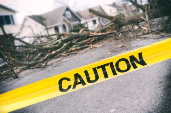 tipos de seguros de da�os